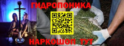 ГАЛЛЮЦИНОГЕННЫЕ ГРИБЫ Обь