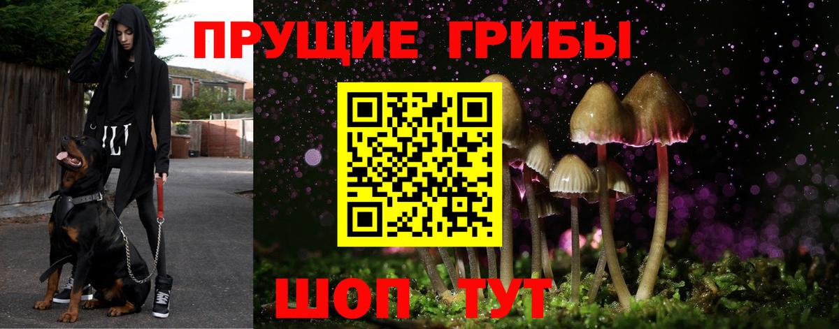 Славгород  Псилоцибиновые грибы GOLDEN TEACHER  Вход с VPN 