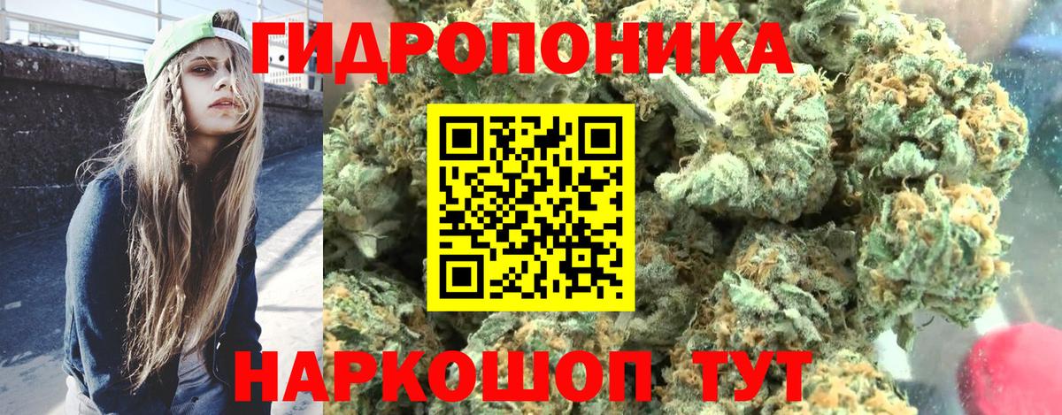 МАРИХУАНА Ganja  МАРИХУАНА White Widow  Вход с VPN  Конопля семена  Славгород 